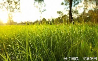 最经典的《战争与和平》小说摘抄大全