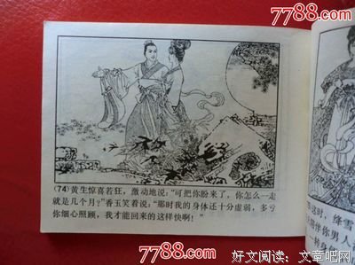 《聊斋大圣人》佳句摘抄
