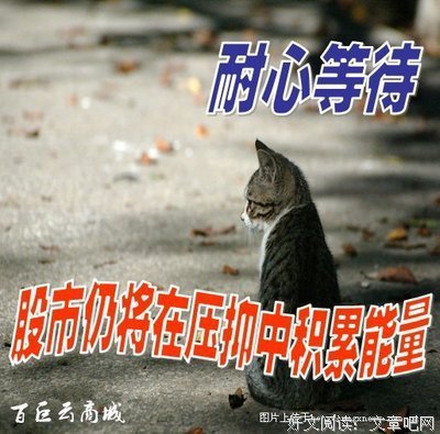 周再上波句子