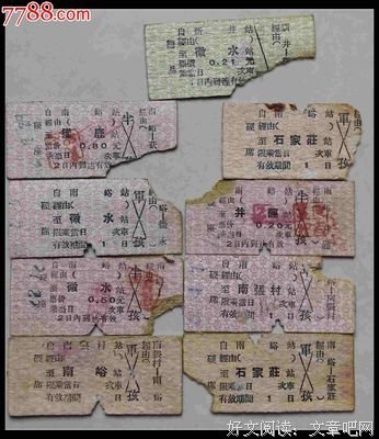 有关新井一二三精彩语录