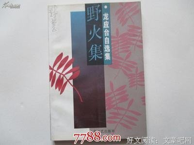最全的《野火集》经典的句子