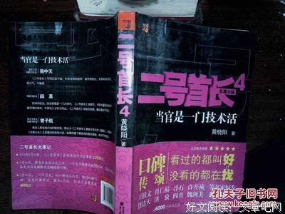 《二号首长》小说句子大全