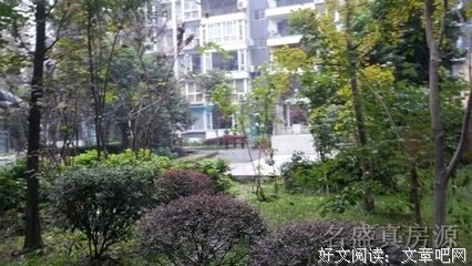 柏杨名言大全
