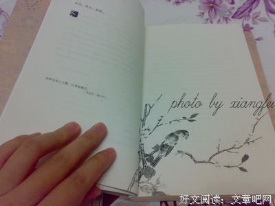 《素年锦时》经典语录大全