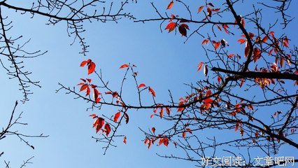 描写愈演愈烈的经典句子