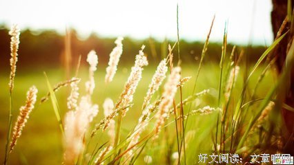 《漫长的告别》经典句子