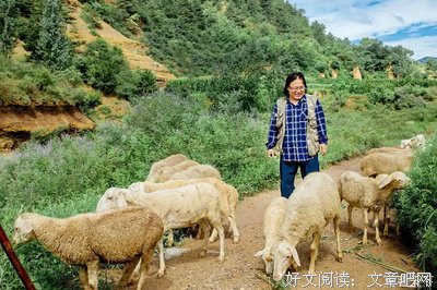 2018常书欣的名言