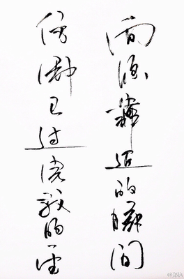 最全的郑执名言名句