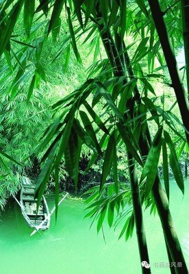 关于梅兰的语句