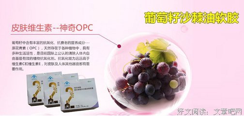 康成的语句摘抄_关于康成的语句