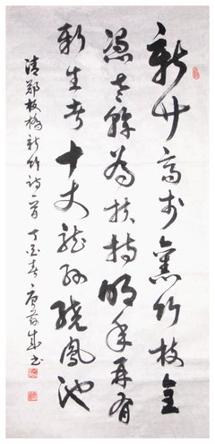 关于张载的语句