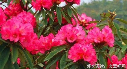 关于尚未明的唯美语录