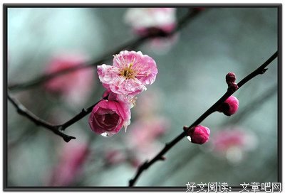 关于有序的语句