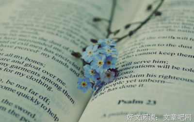 最全的《才女集》经典句子
