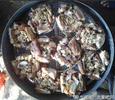 石康经典语录