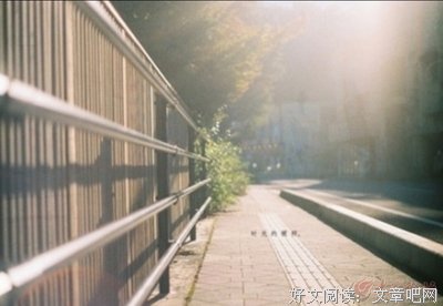 最全的《乡土中国》经典语录大全