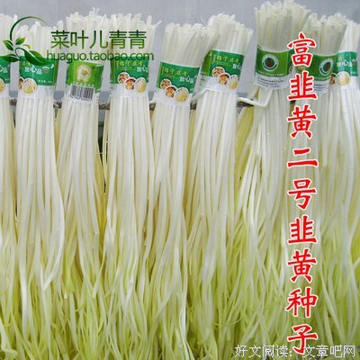 《二号首长》好段摘抄大全