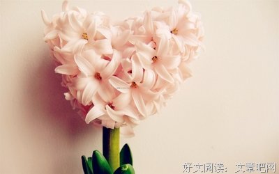 憔悴格言警句