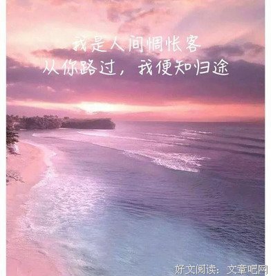 野蛮的句子