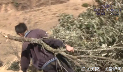 最新的《变形计》名句欣赏