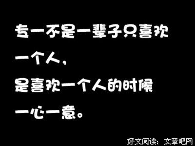 最新的《红蔷薇》经典的句子