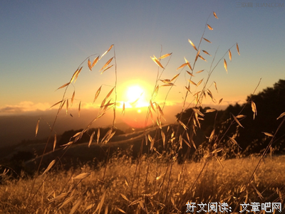最经典的《幸福了吗》语录摘抄