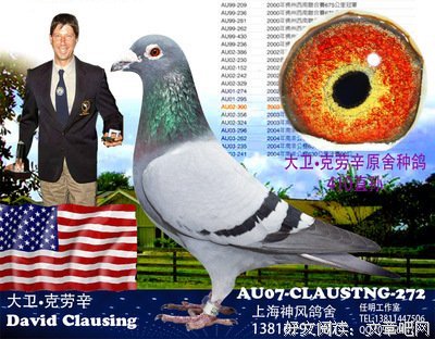 克劳的句子