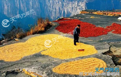 关于旧集的优美句子