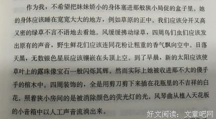 最全的《刺杀骑会时团长》经典语句