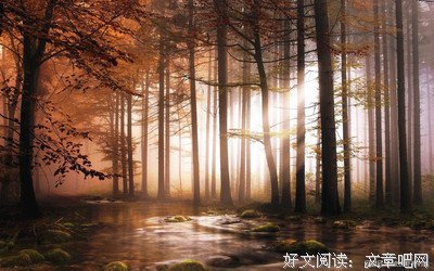 最经典的《田园大宋》经典名句