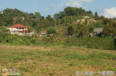 龙应台的名句