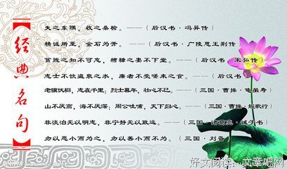 最新的《疯巫妖的实验日志》经典名句