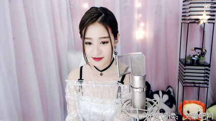 关于西门庆的语句