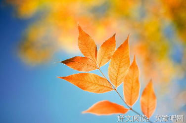 《乡土中国》经典语句大全