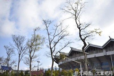 俊潇洒的句子