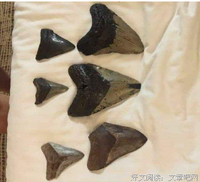 连城女子座右铭