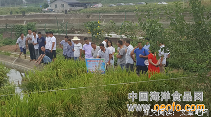 最全的《胡金玉博客》名句欣赏