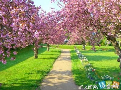 最全的《能量脉轮书》佳句摘抄大全