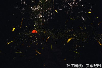 最经典的《萤火虫小巷》小说书摘