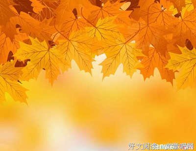 最新的《蚁族的奋斗》佳句摘抄