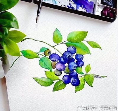 最新的《许我向你看》经典句子