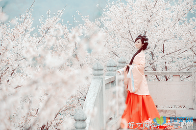 最新的《雪中悍刀行》小说摘抄