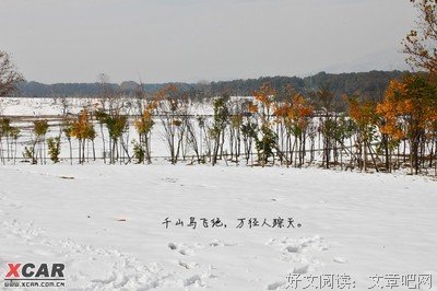 雪晴的名句_关于雪晴的名句