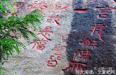 小胡子格言警句