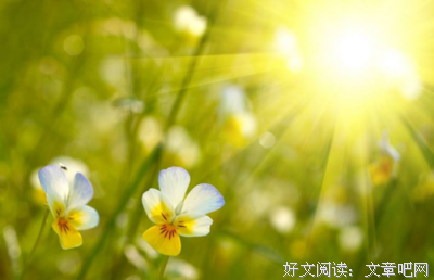 关于生机勃勃的语句