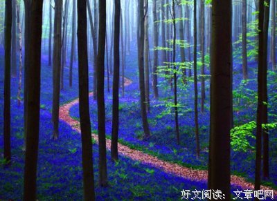 关于超然的格言