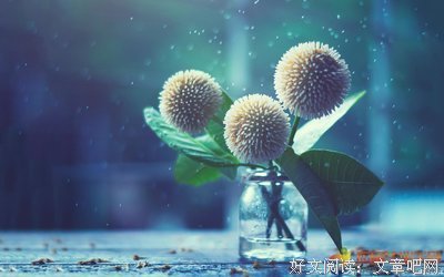 《心灵感悟》的句子