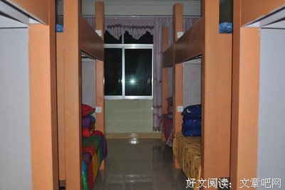 疯人愿的句子