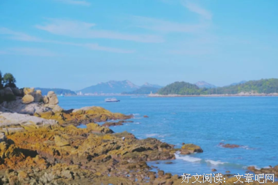关于书籍摘录的优美句子