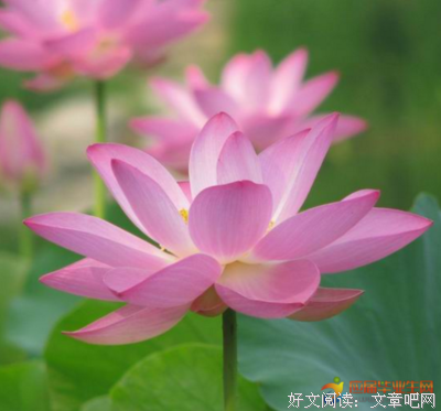 恰似句子